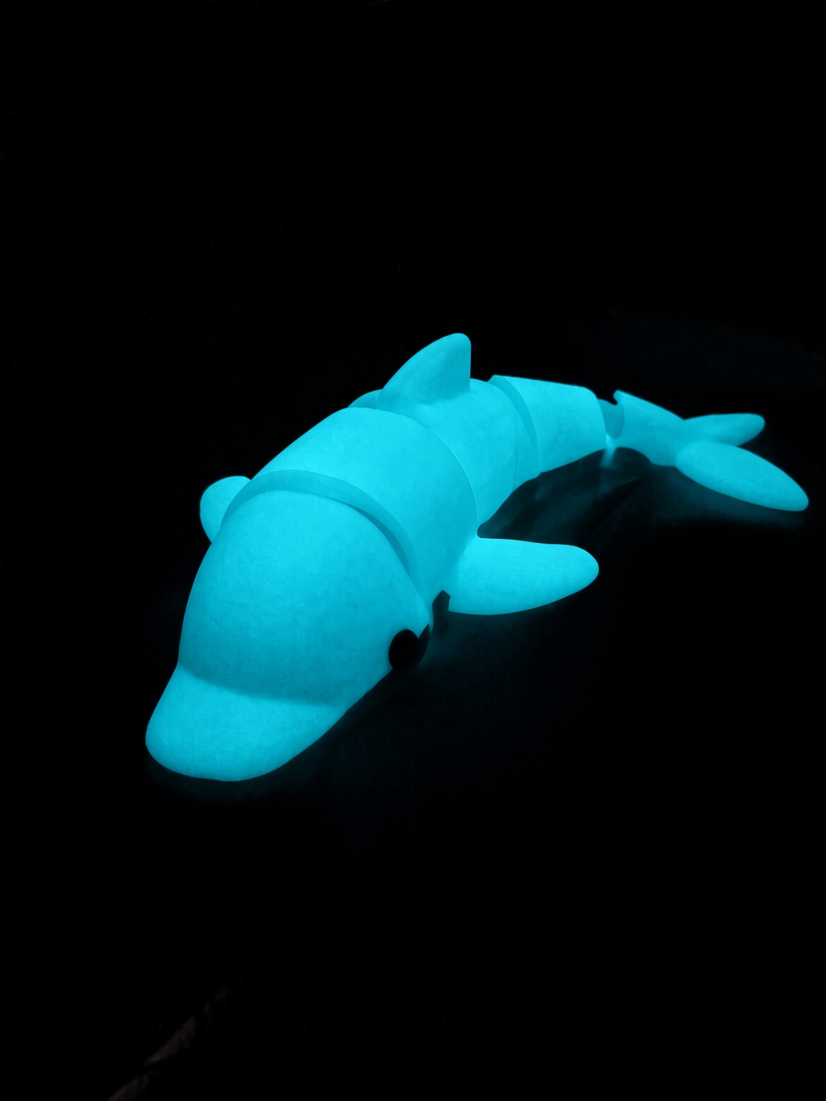 Flip the Dolphin glowing in the dark